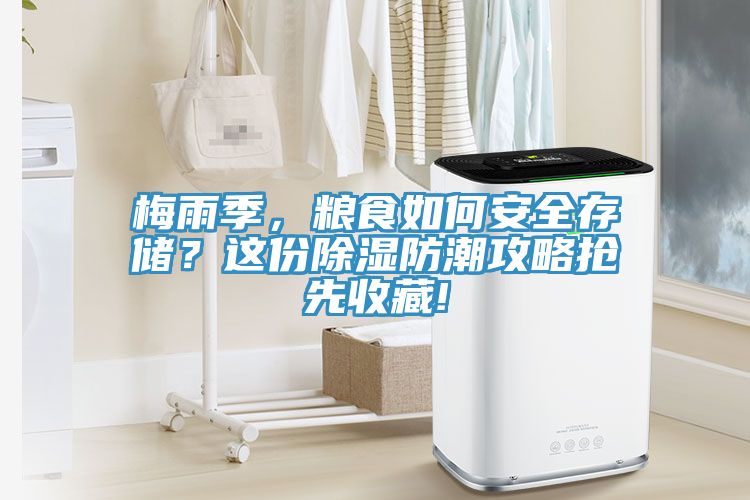梅雨季，糧食如何安全存儲？這份除濕防潮攻略搶先收藏!