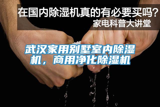 武漢家用別墅室內除濕機，商用凈化除濕機