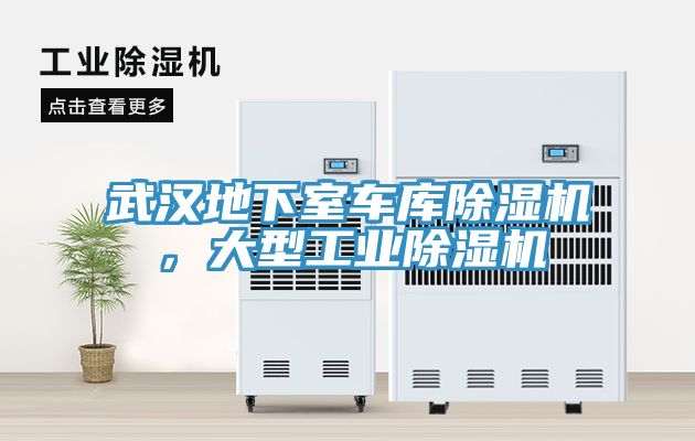 武漢地下室車庫除濕機，大型工業除濕機
