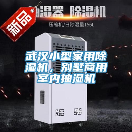 武漢小型家用除濕機，別墅商用室內抽濕機
