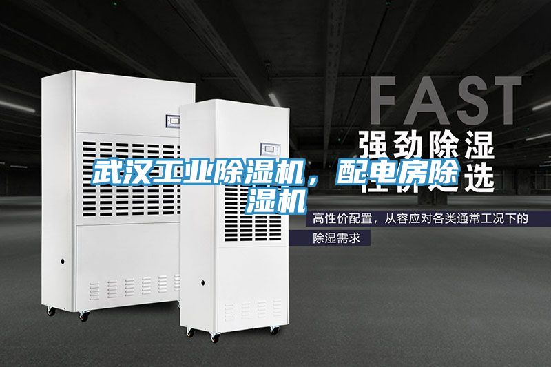 武漢工業除濕機，配電房除濕機