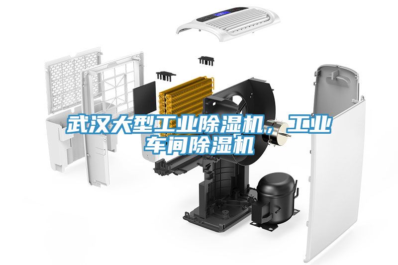 武漢大型工業除濕機，工業車間除濕機