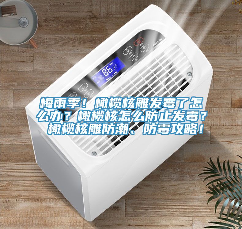 梅雨季！橄欖核雕發霉了怎么辦？橄欖核怎么防止發霉？ 橄欖核雕防潮、防霉攻略！