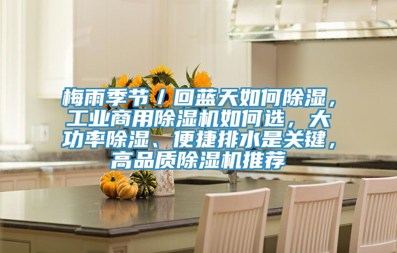 梅雨季節／回藍天如何除濕，工業商用除濕機如何選，大功率除濕、便捷排水是關鍵，高品質除濕機推薦