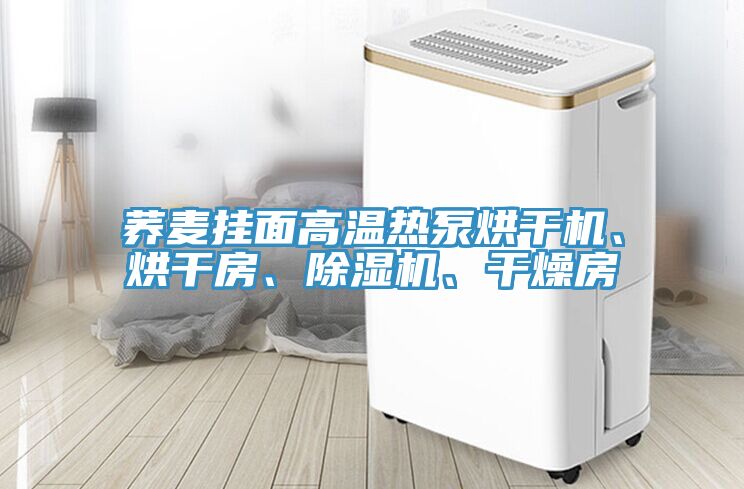 蕎麥掛面高溫熱泵烘干機、烘干房、除濕機、干燥房