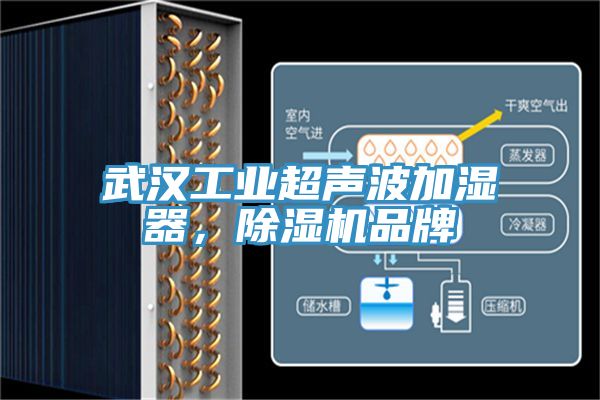 武漢工業超聲波加濕器，除濕機品牌