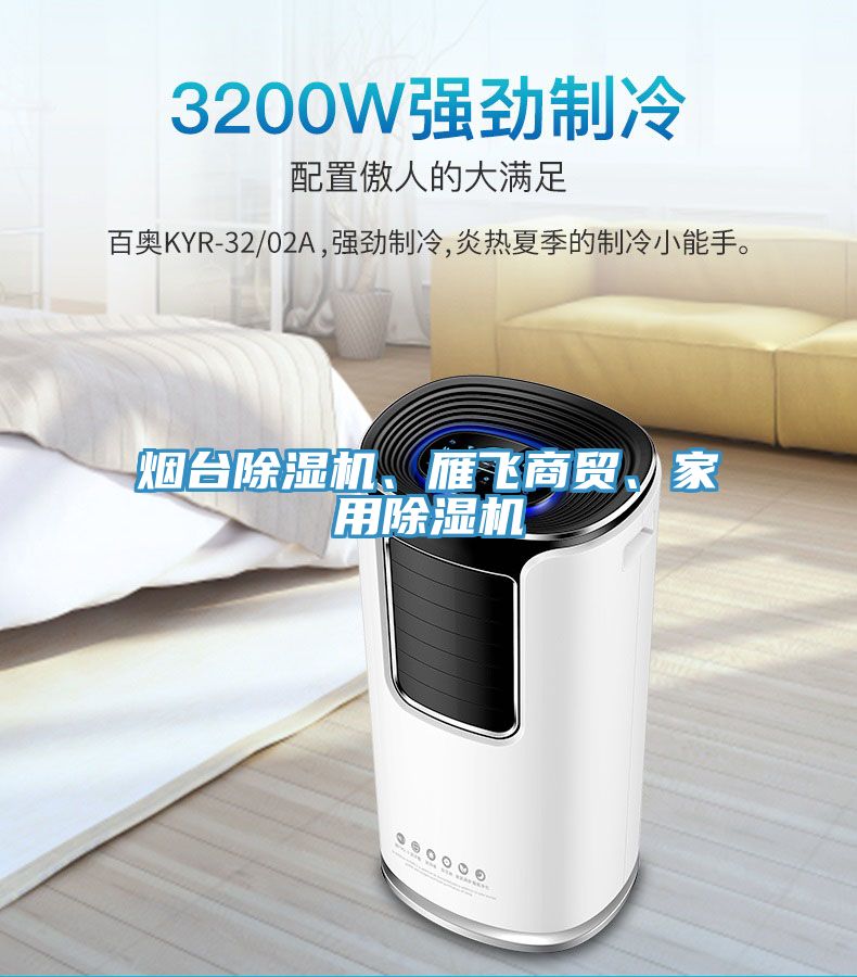 煙臺除濕機、雁飛商貿、家用除濕機