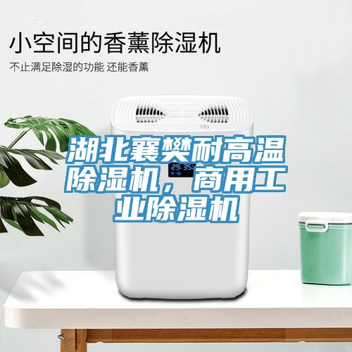 湖北襄樊耐高溫除濕機，商用工業除濕機
