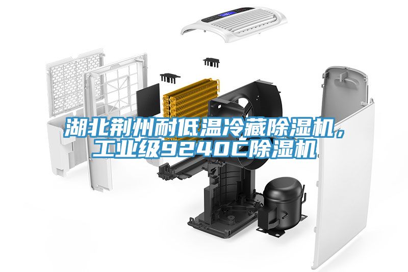 湖北荊州耐低溫冷藏除濕機，工業級9240C除濕機