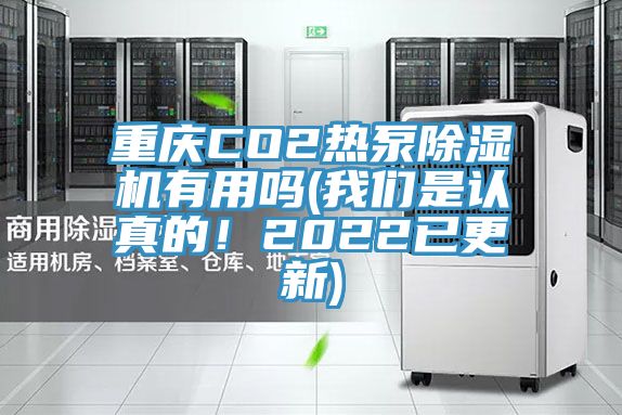 重慶CO2熱泵除濕機有用嗎(我們是認真的！2022已更新)