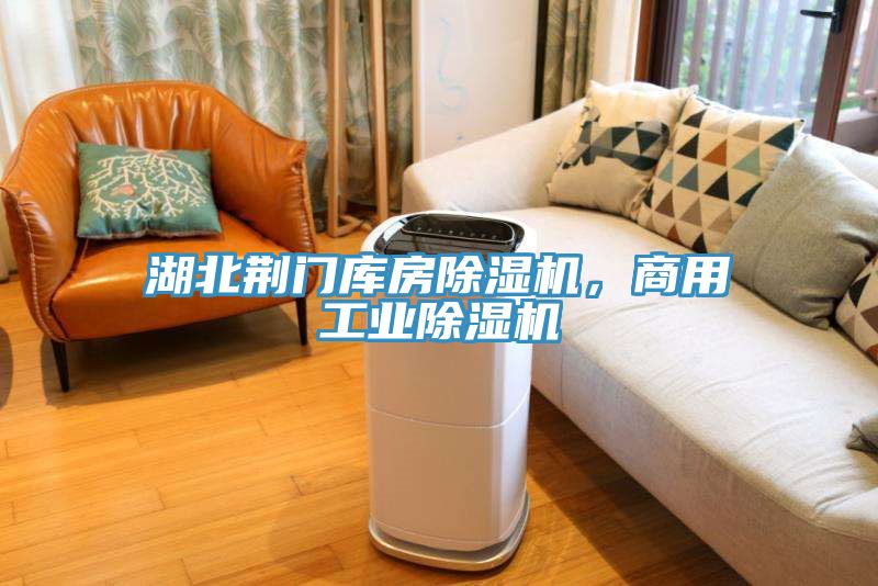 湖北荊門庫房除濕機，商用工業除濕機