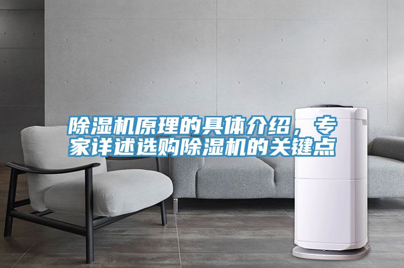 除濕機原理的具體介紹，專家詳述選購除濕機的關鍵點