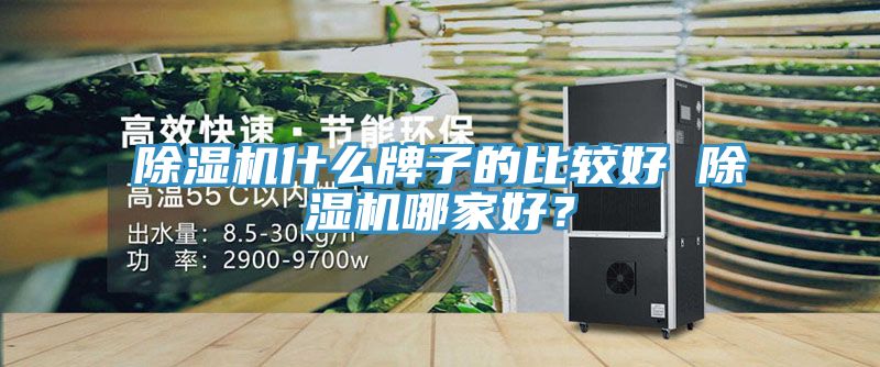 除濕機什么牌子的比較好 除濕機哪家好？