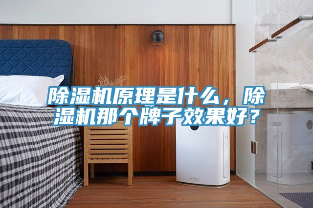 除濕機原理是什么，除濕機那個牌子效果好？