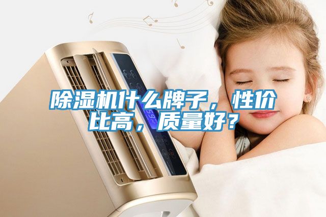 除濕機什么牌子，性價比高，質(zhì)量好？