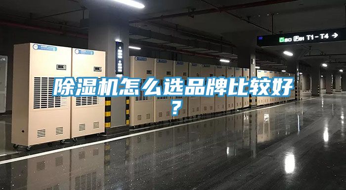 除濕機怎么選品牌比較好？