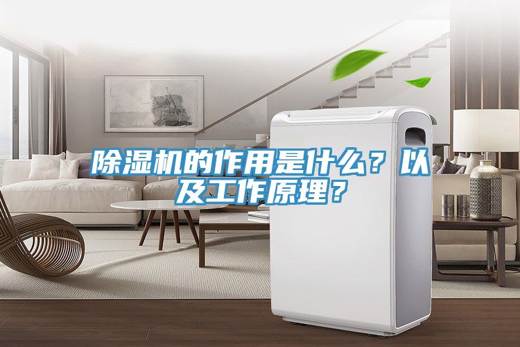 除濕機(jī)的作用是什么？以及工作原理？