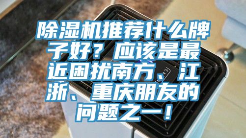 除濕機推薦什么牌子好？應該是最近困擾南方、江浙、重慶朋友的問題之一！